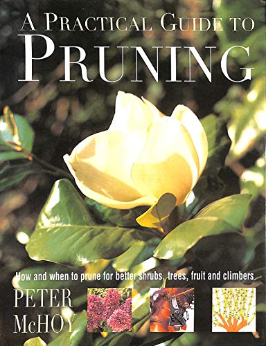 A Practical Guide to Pruning