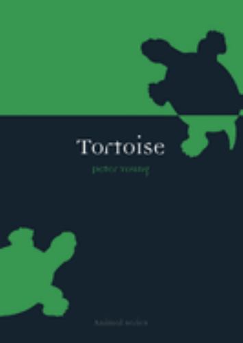 Tortoise