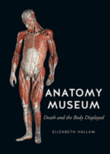 Anatomy Museum