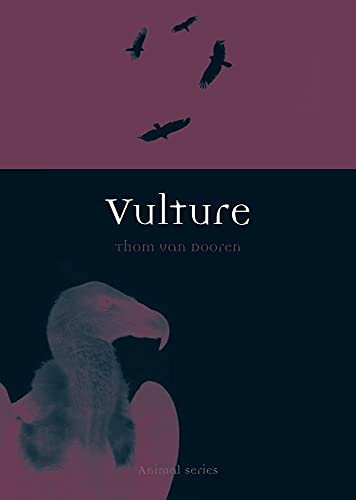 Vulture
