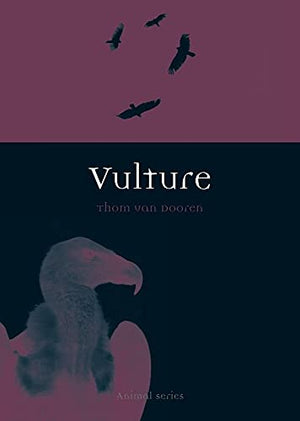 Vulture