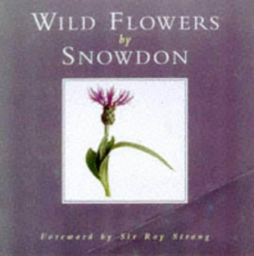 WILD FLOWERS PB