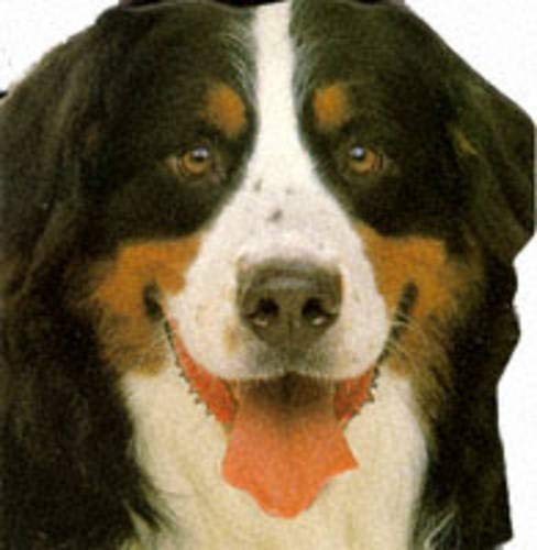 Shaped Board Book - Dogs And Puppies