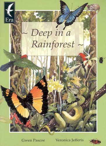 Deep in a Rainforest