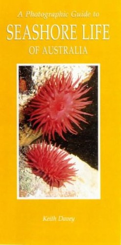 A Photographic Guide to Seashore Life of Australia