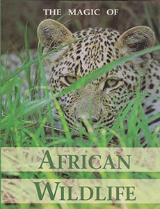 Magic of African Wild Life 