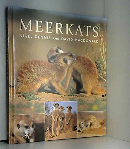 Meerkats