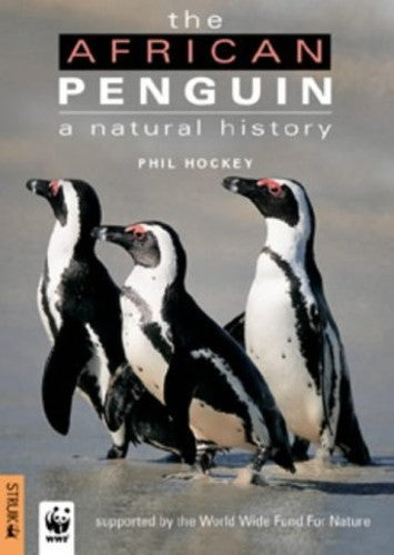 African Penguin