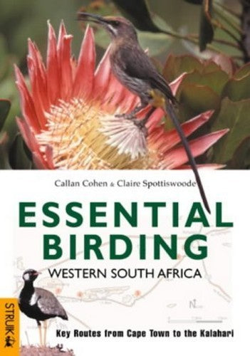 Essential Birding Western South Africa