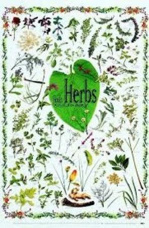 Herbs for Healing in New Zealand