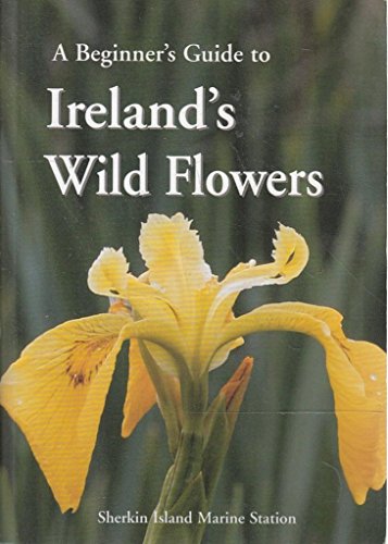 A Beginner's Guide to Ireland's Wild Flowers