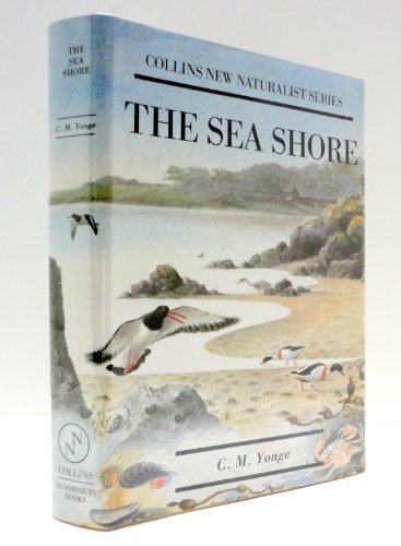The Sea Shore