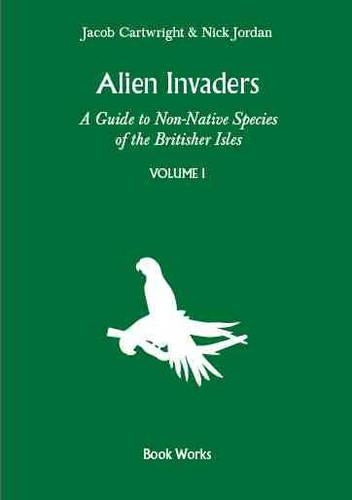 Alien Invaders