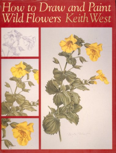 How to Draw and Paint Wild Flowers
