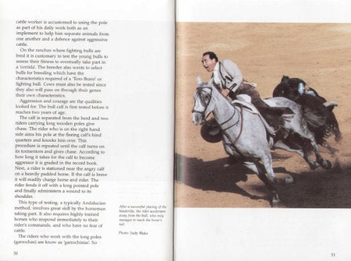 Andalucian Horse