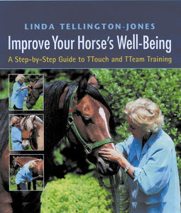 Improve Your Horse's Well-being 