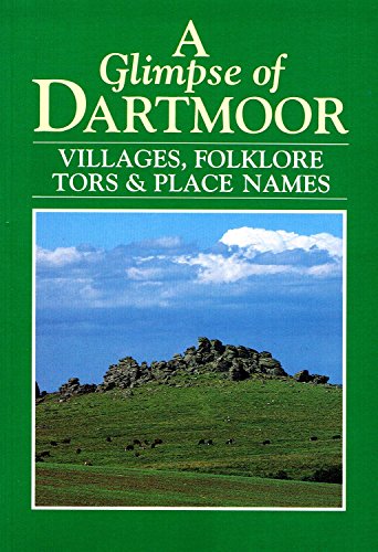 A Glimpse of Dartmoor