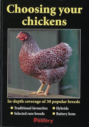 Choosing Your Chickens