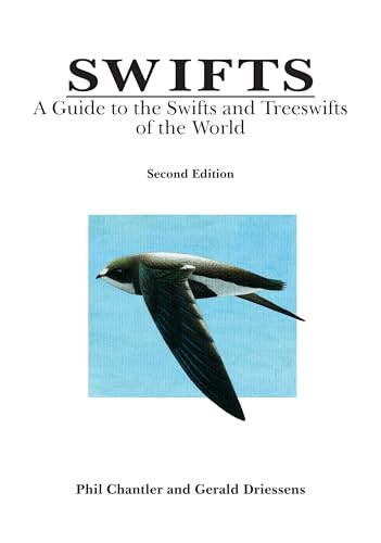 Swifts