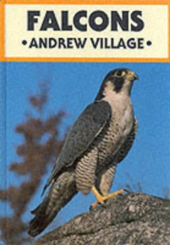 Falcons