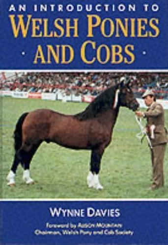 An Introduction to Welsh Ponies and Cobs