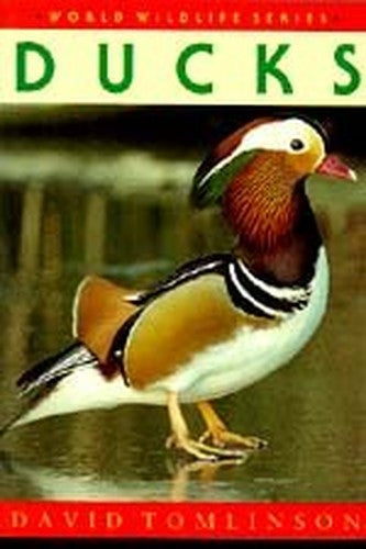 Ducks