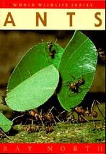 Ants