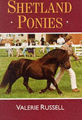 Shetland Ponies
