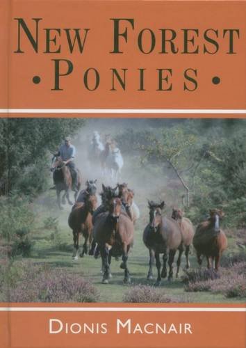 New Forest Ponies