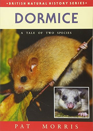 Dormice