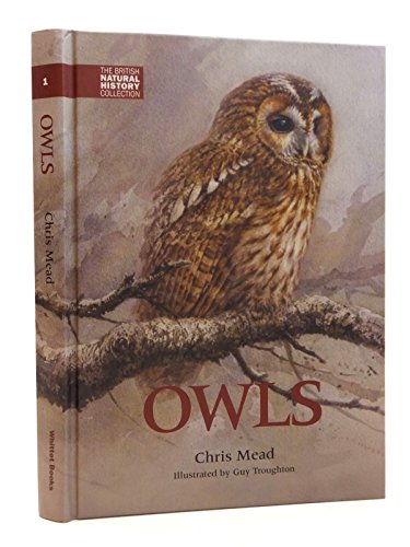 Owls