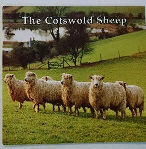 The Cotswold Sheep