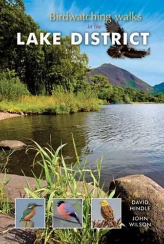 Birdwatching Walks in the Lake District
