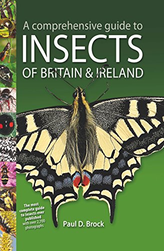 A Comprehensive Guide to Insects of Britain and Ireland