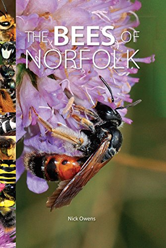 The Bees of Norfolk
