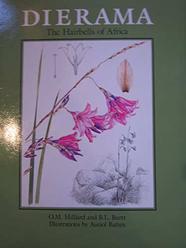 Dierama