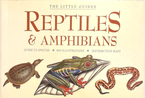 Reptiles & Amphibians