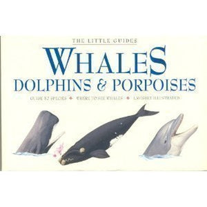 Whales, Dolphins & Porpoises 