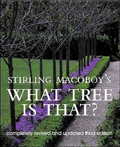 What Tree Is That?