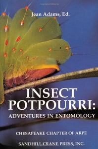 Insect Potpourri 