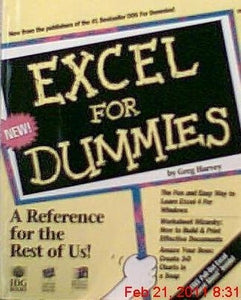 Excel For Dummies 