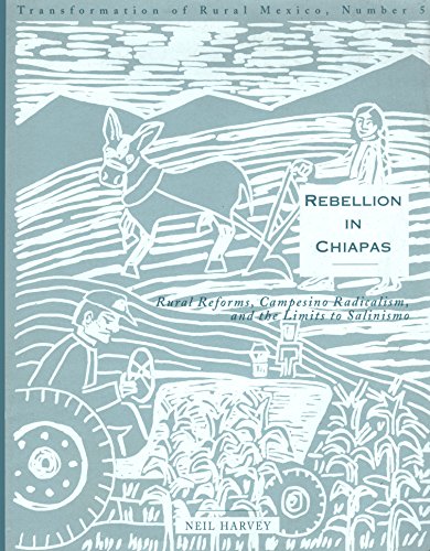 Rebellion in Chiapas