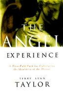 The Angel Experience 