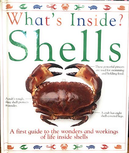 Shells