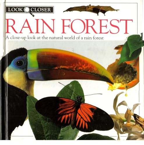 Rain Forest