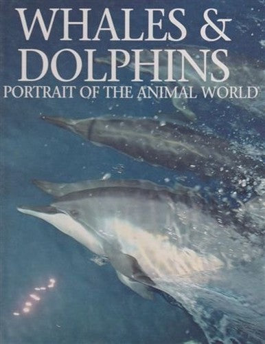 Whales and Dolphins