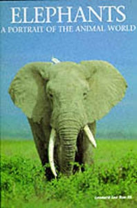 Elephants 