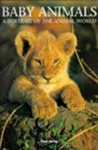Baby Animals