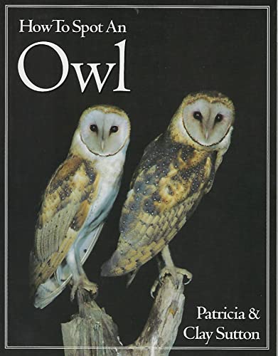 How to Spot an Owl (Paper)