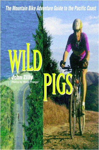 Wild Pigs